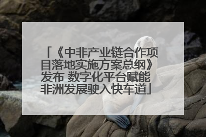 《中非产业链合作项目落地实施方案总纲》发布 数字化平台赋能非洲发展驶入快车道