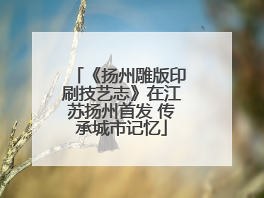 《扬州雕版印刷技艺志》在江苏扬州首发 传承城市记忆
