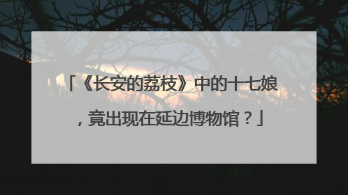 《长安的荔枝》中的十七娘，竟出现在延边博物馆？