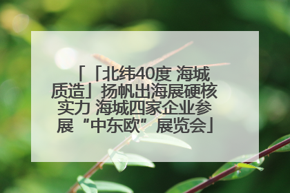 「北纬40度 海城质造」扬帆出海展硬核实力 海城四家企业参展“中东欧”展览会