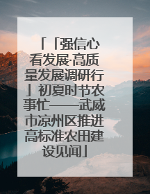「强信心 看发展·高质量发展调研行」初夏时节农事忙——武威市凉州区推进高标准农田建设见闻