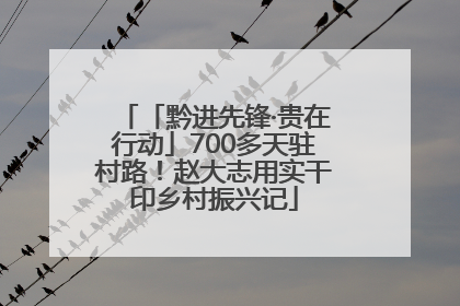 「黔进先锋·贵在行动」700多天驻村路！赵大志用实干印乡村振兴记