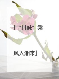 “甘味”乘风入湘来