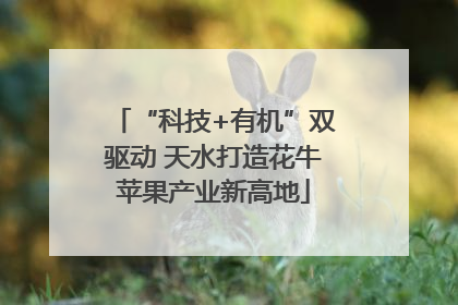 “科技+有机”双驱动 天水打造花牛苹果产业新高地