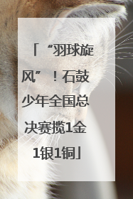 “羽球旋风”！石鼓少年全国总决赛揽1金1银1铜