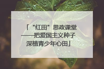 “红田”思政课堂——把爱国主义种子深植青少年心田