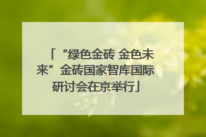 “绿色金砖 金色未来”金砖国家智库国际研讨会在京举行