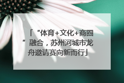“体育+文化+商圈”融合，苏州河城市龙舟邀请赛向新而行