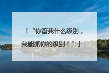 “你管我什么级别，我能抓你的级别！”