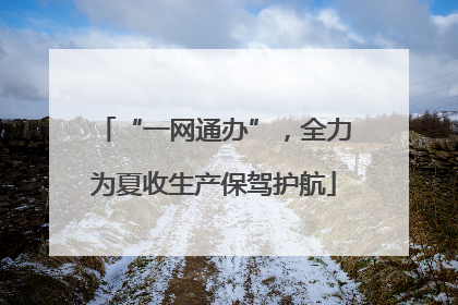 “一网通办”，全力为夏收生产保驾护航