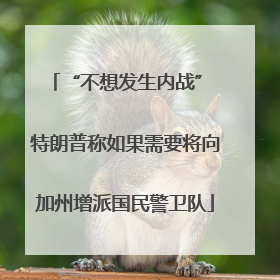 “不想发生内战” 特朗普称如果需要将向加州增派国民警卫队