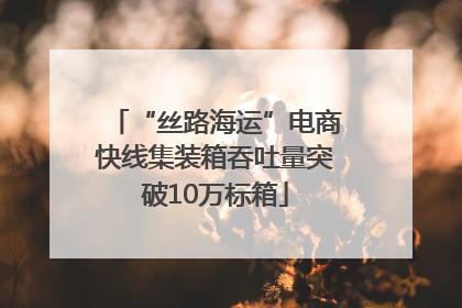 “丝路海运”电商快线集装箱吞吐量突破10万标箱