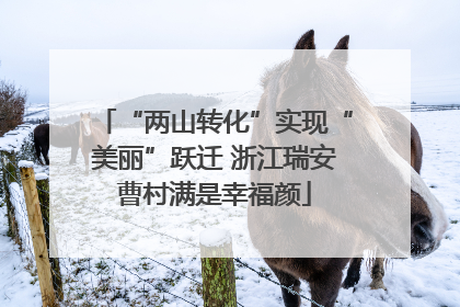 “两山转化”实现“美丽”跃迁 浙江瑞安曹村满是幸福颜