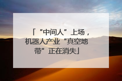 “中间人”上场，机器人产业“真空地带”正在消失
