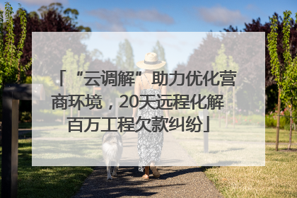 “云调解”助力优化营商环境，20天远程化解百万工程欠款纠纷