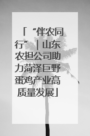 “伴农同行”｜山东农担公司助力菏泽巨野蛋鸡产业高质量发展