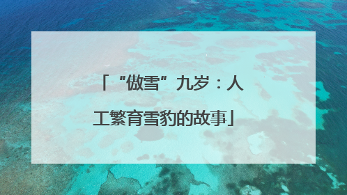 “傲雪”九岁：人工繁育雪豹的故事