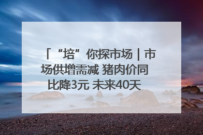 “培”你探市场｜市场供增需减 猪肉价同比降3元 未来40天便宜猪肉敞开吃