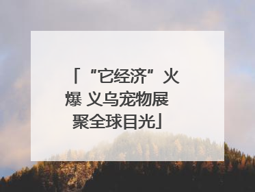 “它经济”火爆 义乌宠物展聚全球目光