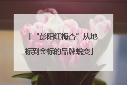 “彭阳红梅杏”从地标到金标的品牌蜕变