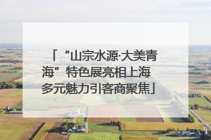 “山宗水源·大美青海”特色展亮相上海 多元魅力引客商聚焦