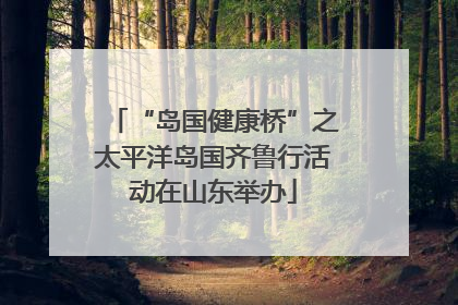 “岛国健康桥”之太平洋岛国齐鲁行活动在山东举办