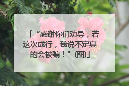 “感谢你们劝导，若这次成行，我说不定真的会被骗！”(图)
