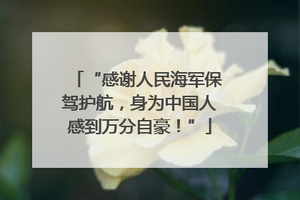 “感谢人民海军保驾护航，身为中国人感到万分自豪！”