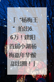 “杨梅王”拍出6.6万！建阳首届小湖杨梅嘉年华酸甜出圈！