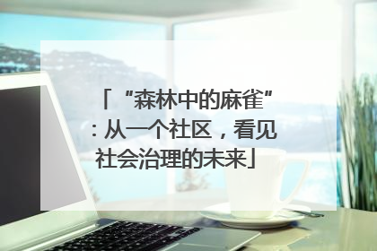 “森林中的麻雀”：从一个社区，看见社会治理的未来