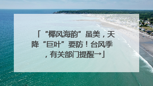“椰风海韵”虽美，天降“巨叶”要防！台风季，有关部门提醒→