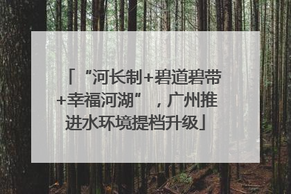 “河长制+碧道碧带+幸福河湖”，广州推进水环境提档升级
