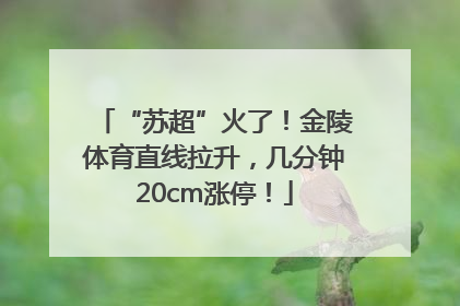 “苏超”火了！金陵体育直线拉升，几分钟20cm涨停！