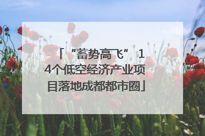 “蓄势高飞” 14个低空经济产业项目落地成都都市圈
