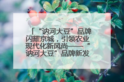 “讷河大豆”品牌闪耀京城，引领农业现代化新风尚——“讷河大豆”品牌新发地推介会圆满落幕