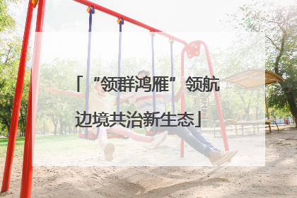 “领群鸿雁”领航边境共治新生态