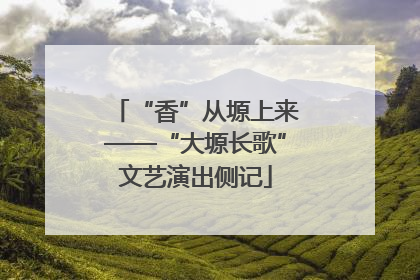 “香”从塬上来——“大塬长歌”文艺演出侧记