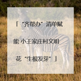 “齐帮办”清单赋能 小王家庄村文明花“生根发芽”