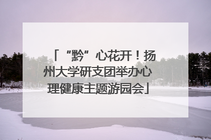 “黔”心花开！扬州大学研支团举办心理健康主题游园会