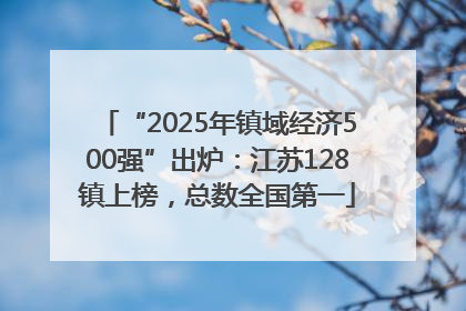 “2025年镇域经济500强”出炉：江苏128镇上榜，总数全国第一