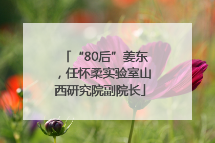 “80后”姜东，任怀柔实验室山西研究院副院长