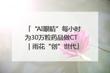 “AI眼睛”每小时为30万粒药品做CT｜雨花“创”世代