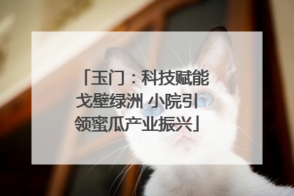 玉门：科技赋能戈壁绿洲 小院引领蜜瓜产业振兴
