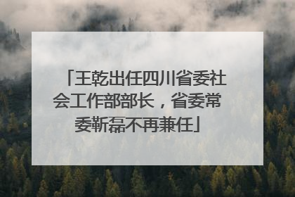 王乾出任四川省委社会工作部部长，省委常委靳磊不再兼任