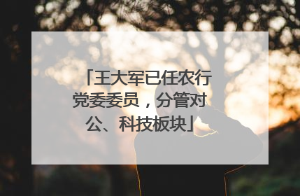 王大军已任农行党委委员，分管对公、科技板块