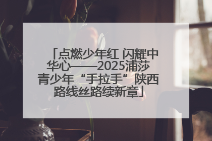 点燃少年红 闪耀中华心——2025浦莎青少年“手拉手”陕西路线丝路续新章
