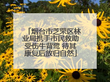 烟台市芝罘区林业局携手市民救助受伤牛背鹭 待其康复后放归自然