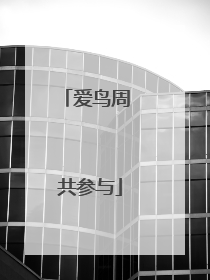 爱鸟周 共参与