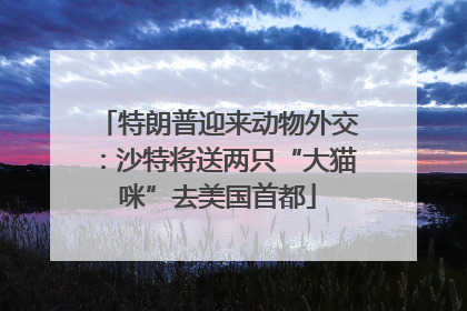 特朗普迎来动物外交：沙特将送两只“大猫咪”去美国首都