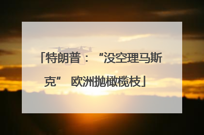 特朗普：“没空理马斯克” 欧洲抛橄榄枝